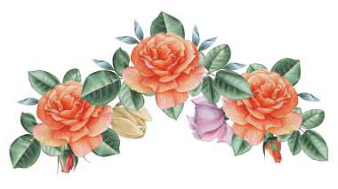 Çiçekler ve yapraklar, beyaz arka plan üzerinde izole suluboya büyüleyici kombinasyonu el boyalı