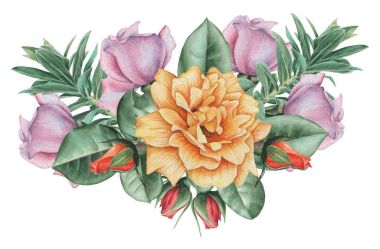 Çiçekler ve yapraklar, beyaz arka plan üzerinde izole suluboya büyüleyici kombinasyonu el boyalı