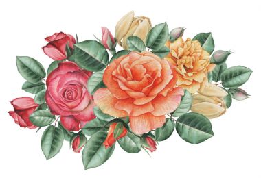 Çiçekler ve yapraklar, beyaz arka plan üzerinde izole suluboya büyüleyici kombinasyonu el boyalı