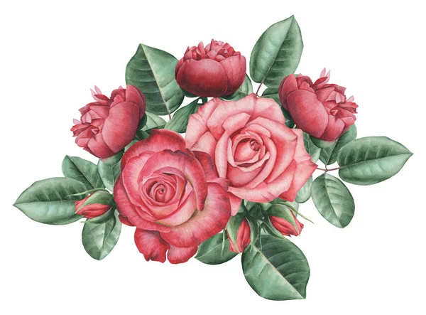 Çiçekler ve yapraklar, beyaz arka plan üzerinde izole suluboya büyüleyici kombinasyonu el boyalı