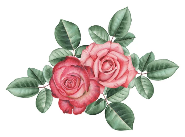 Çiçekler ve yapraklar, beyaz arka plan üzerinde izole suluboya büyüleyici kombinasyonu el boyalı