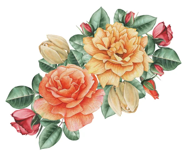 Çiçekler ve yapraklar, beyaz arka plan üzerinde izole suluboya büyüleyici kombinasyonu el boyalı