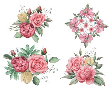 Çiçekler ve yapraklar, beyaz arka plan üzerinde izole suluboya büyüleyici kombinasyonu el boyalı.