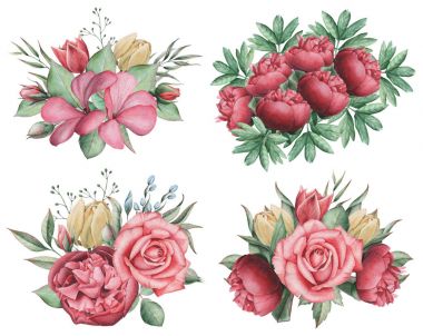 Çiçekler ve yapraklar, beyaz arka plan üzerinde izole suluboya büyüleyici kombinasyonu el boyalı.