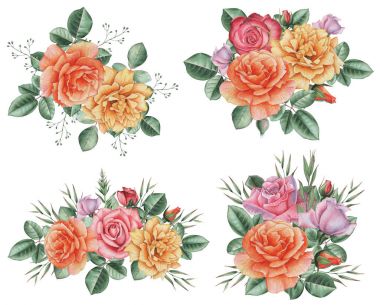 Çiçekler ve yapraklar, beyaz arka plan üzerinde izole suluboya büyüleyici kombinasyonu el boyalı.