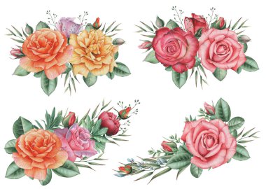 Çiçekler ve yapraklar, beyaz arka plan üzerinde izole suluboya büyüleyici kombinasyonu el boyalı.