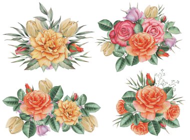 Çiçekler ve yapraklar, beyaz arka plan üzerinde izole suluboya büyüleyici kombinasyonu el boyalı.