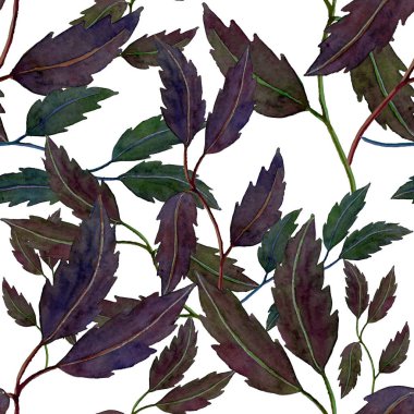 Yapraklı suluboya deseni. Herhangi bir amaç için parlak yaz ya da bahar baskısı. Renkli el çizimi çizimi. Klasik doğal model. Organik arkaplan.