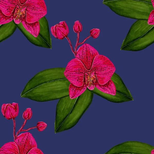 손으로 가시없는 가마우지 양귀비 유칼립투스 목적으로 봄이나 인쇄를 장식적 꽃무늬 — 스톡 사진