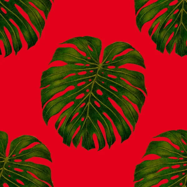 Bellissimo Modello Senza Soluzione Continuità Con Foglie Tropicali Fiori Disegnati — Foto Stock