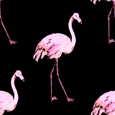 Dekorasyon tasarımı için flamingo ile harika bir suluboya deseni. Suluboya hayvani bir geçmişi var. Suluboya çizimi. Tropik illüstrasyon. Vahşi yaşamın kusursuz bir düzeni var.