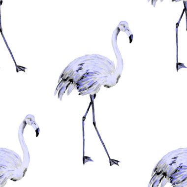 Dekorasyon tasarımı için flamingo ile harika bir suluboya deseni. Suluboya hayvani bir geçmişi var. Suluboya çizimi. Tropik illüstrasyon. Vahşi yaşamın kusursuz bir düzeni var.