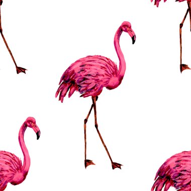 Dekorasyon tasarımı için flamingo ile harika bir suluboya deseni. Suluboya hayvani bir geçmişi var. Suluboya çizimi. Tropik illüstrasyon. Vahşi yaşamın kusursuz bir düzeni var.