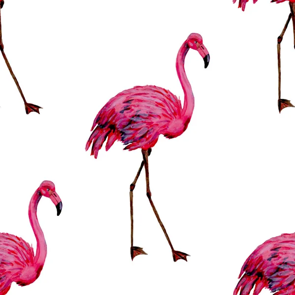 Schönes Aquarellmuster Mit Flamingo Zur Dekoration Aquarell Animalistischer Hintergrund Aquarell — Stockfoto