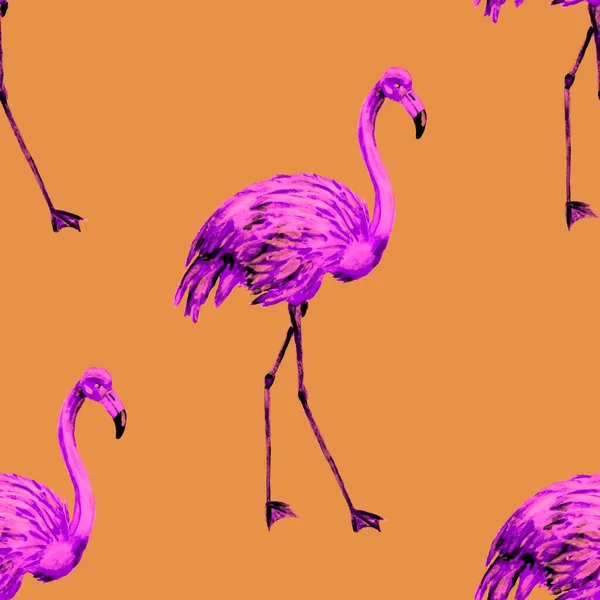 Padrão Aquarela Bonita Com Flamingo Para Design Decoração Fundo Animalesco — Fotografia de Stock