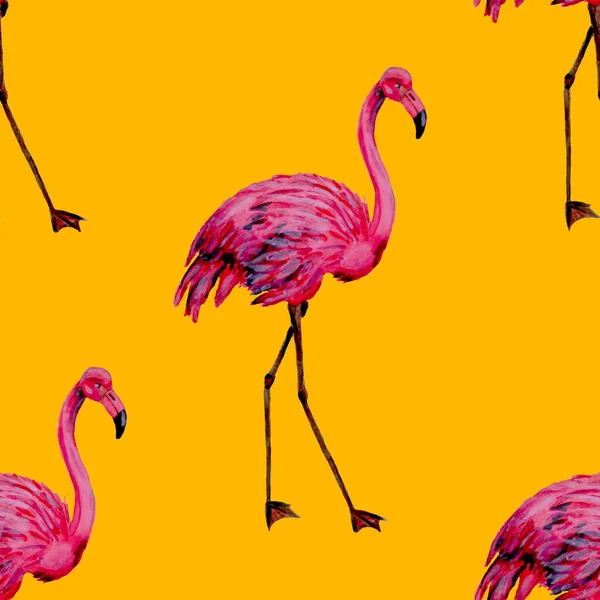 Hermoso Patrón Acuarela Con Flamenco Para Diseño Decoración Fondo Animalista — Foto de Stock