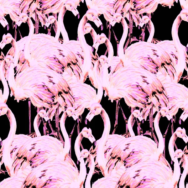 Padrão Aquarela Bonita Com Flamingo Para Design Decoração Fundo Animalesco — Fotografia de Stock