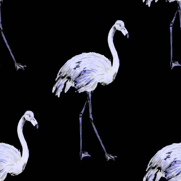 Padrão Aquarela Bonita Com Flamingo Para Design Decoração Fundo Animalesco — Fotografia de Stock