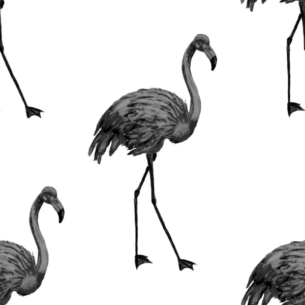 Акварельный Узор Фламинго Украшения Акварель Животного Происхождения Акварель Тропическая Иллюстрация — стоковое фото