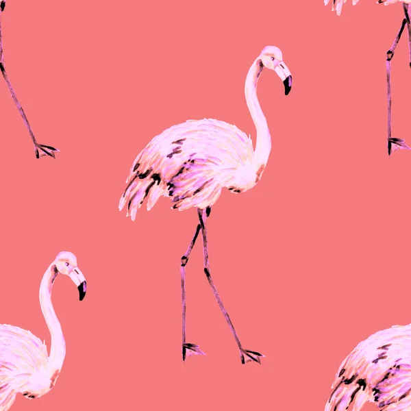Gyönyörű Akvarell Minta Flamingó Dekoráció Design Akvarell Állatias Háttér Akvarell — Stock Fotó