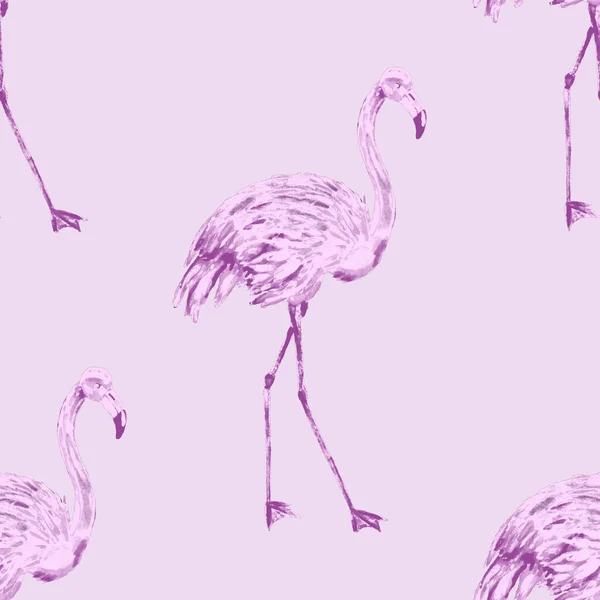 Dekorasyon Tasarımı Için Flamingo Ile Harika Bir Suluboya Deseni Suluboya — Stok fotoğraf