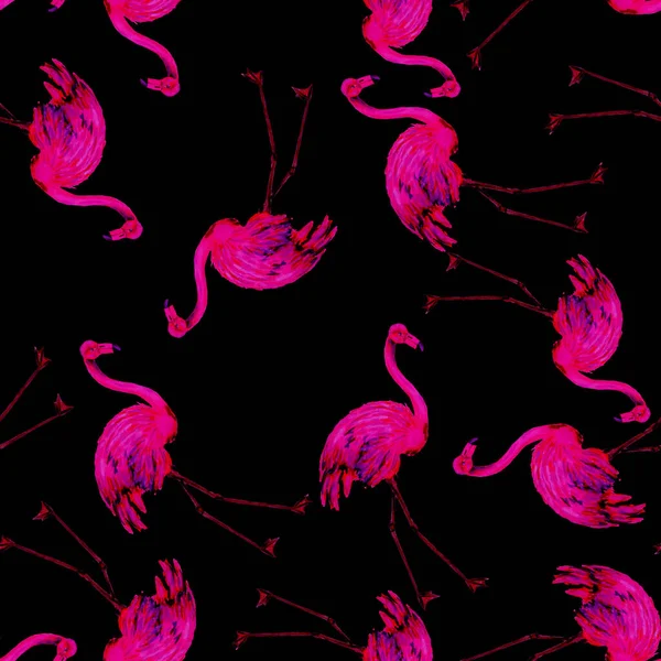 Акварельный Узор Фламинго Украшения Акварель Животного Происхождения Акварель Тропическая Иллюстрация — стоковое фото