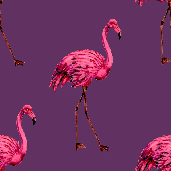漂亮的水彩图案与火烈鸟装饰设计 水彩画的动物学背景水彩画 热带插图 野生动植物无缝模式 — 图库照片