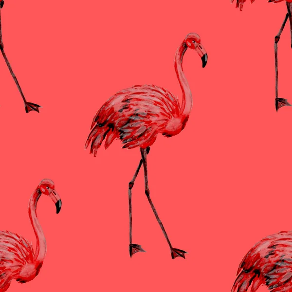 Schönes Aquarellmuster Mit Flamingo Zur Dekoration Aquarell Animalistischer Hintergrund Aquarell — Stockfoto