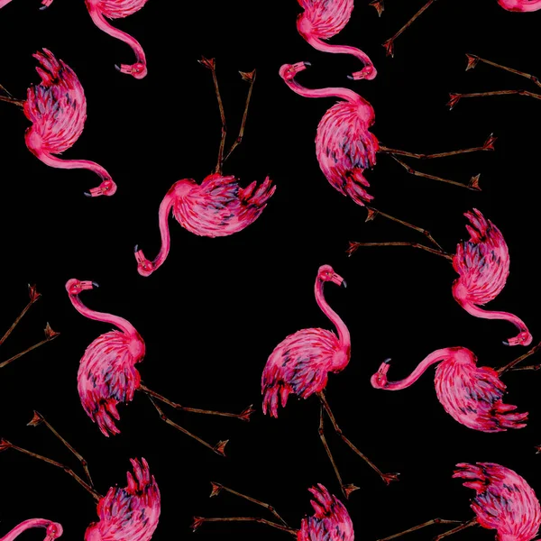 Mooi Aquarel Patroon Met Flamingo Voor Decoratie Ontwerp Aquarel Dierlijke — Stockfoto