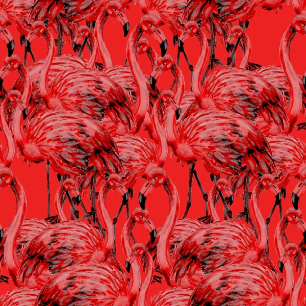 Schönes Aquarellmuster Mit Flamingo Zur Dekoration Aquarell Animalistischer Hintergrund Aquarell — Stockfoto