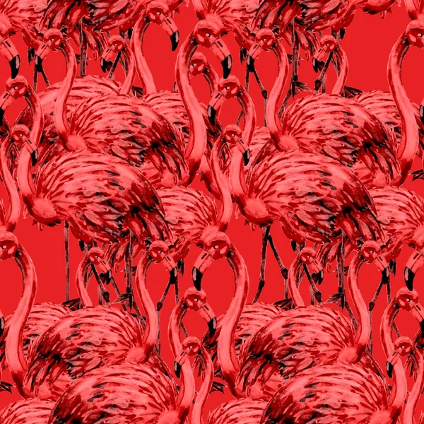 Schönes Aquarellmuster Mit Flamingo Zur Dekoration Aquarell Animalistischer Hintergrund Aquarell — Stockfoto