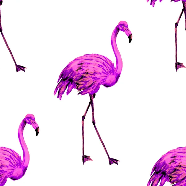 Padrão Aquarela Bonita Com Flamingo Para Design Decoração Fundo Animalesco — Fotografia de Stock