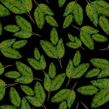 Tekstil tasarımı için suluboya tropikal yaprakları ve çiçekleri olan modern, soyut, dikişsiz desen. Geçmişe dönük parlak yaz geçmişi. Orman yaprakları çizimi. Mayo botanik tasarımı. Antika egzotik baskı.