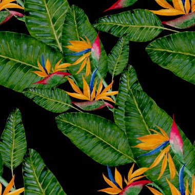Tekstil tasarımı için suluboya tropikal yaprakları ve çiçekleri olan modern, soyut, dikişsiz desen. Geçmişe dönük parlak yaz geçmişi. Orman yaprakları çizimi. Mayo botanik tasarımı. Antika egzotik baskı.