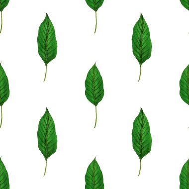 Tekstil tasarımı için suluboya tropikal yaprakları ve çiçekleri olan modern, soyut, dikişsiz desen. Geçmişe dönük parlak yaz geçmişi. Orman yaprakları çizimi. Mayo botanik tasarımı. Antika egzotik baskı.