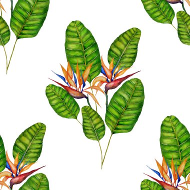 Tekstil tasarımı için suluboya tropikal yaprakları ve çiçekleri olan modern, soyut, dikişsiz desen. Geçmişe dönük parlak yaz geçmişi. Orman yaprakları çizimi. Mayo botanik tasarımı. Antika egzotik baskı.