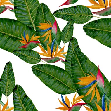 Tekstil tasarımı için suluboya tropikal yaprakları ve çiçekleri olan modern, soyut, dikişsiz desen. Geçmişe dönük parlak yaz geçmişi. Orman yaprakları çizimi. Mayo botanik tasarımı. Antika egzotik baskı.