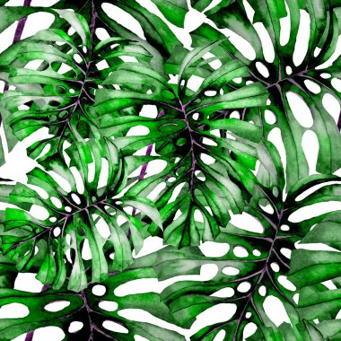 Tekstil tasarımı için suluboya tropikal yaprakları ve çiçekleri olan modern, soyut, dikişsiz desen. Geçmişe dönük parlak yaz geçmişi. Orman yaprakları çizimi. Mayo botanik tasarımı. Antika egzotik baskı.