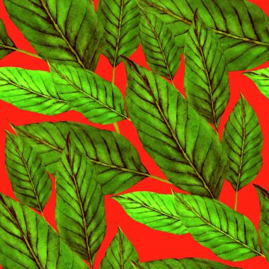 Tekstil tasarımı için suluboya tropikal yaprakları ve çiçekleri olan modern, soyut, dikişsiz desen. Geçmişe dönük parlak yaz geçmişi. Orman yaprakları çizimi. Mayo botanik tasarımı. Antika egzotik baskı.