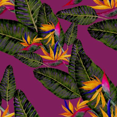 Tekstil tasarımı için suluboya tropikal yaprakları ve çiçekleri olan modern, soyut, dikişsiz desen. Geçmişe dönük parlak yaz geçmişi. Orman yaprakları çizimi. Mayo botanik tasarımı. Antika egzotik baskı.