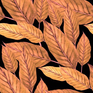 Tekstil tasarımı için suluboya tropikal yaprakları ve çiçekleri olan modern, soyut, dikişsiz desen. Geçmişe dönük parlak yaz geçmişi. Orman yaprakları çizimi. Mayo botanik tasarımı. Antika egzotik baskı.