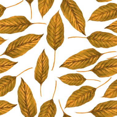 Tekstil tasarımı için suluboya tropikal yaprakları ve çiçekleri olan modern, soyut, dikişsiz desen. Geçmişe dönük parlak yaz geçmişi. Orman yaprakları çizimi. Mayo botanik tasarımı. Antika egzotik baskı.