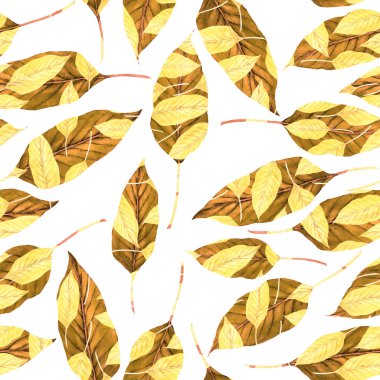 Tekstil tasarımı için suluboya tropikal yaprakları ve çiçekleri olan modern, soyut, dikişsiz desen. Geçmişe dönük parlak yaz geçmişi. Orman yaprakları çizimi. Mayo botanik tasarımı. Antika egzotik baskı.