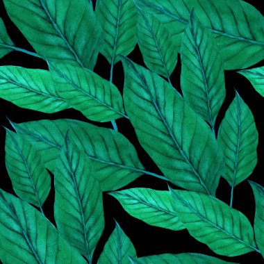 Tekstil tasarımı için suluboya tropikal yaprakları ve çiçekleri olan modern, soyut, dikişsiz desen. Geçmişe dönük parlak yaz geçmişi. Orman yaprakları çizimi. Mayo botanik tasarımı. Antika egzotik baskı.