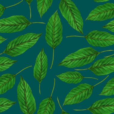 Tekstil tasarımı için suluboya tropikal yaprakları ve çiçekleri olan modern, soyut, dikişsiz desen. Geçmişe dönük parlak yaz geçmişi. Orman yaprakları çizimi. Mayo botanik tasarımı. Antika egzotik baskı.