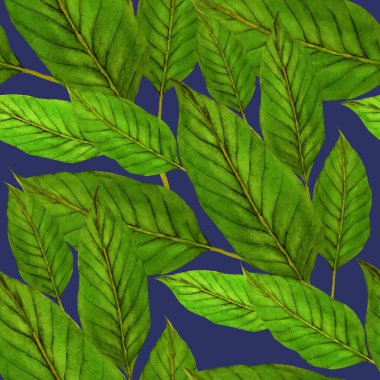 Tekstil tasarımı için suluboya tropikal yaprakları ve çiçekleri olan modern, soyut, dikişsiz desen. Geçmişe dönük parlak yaz geçmişi. Orman yaprakları çizimi. Mayo botanik tasarımı. Antika egzotik baskı.