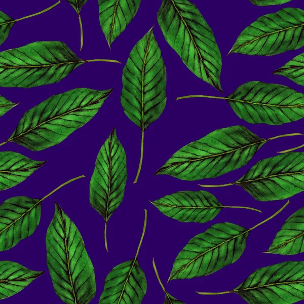 Tekstil tasarımı için suluboya tropikal yaprakları ve çiçekleri olan modern, soyut, dikişsiz desen. Geçmişe dönük parlak yaz geçmişi. Orman yaprakları çizimi. Mayo botanik tasarımı. Antika egzotik baskı.