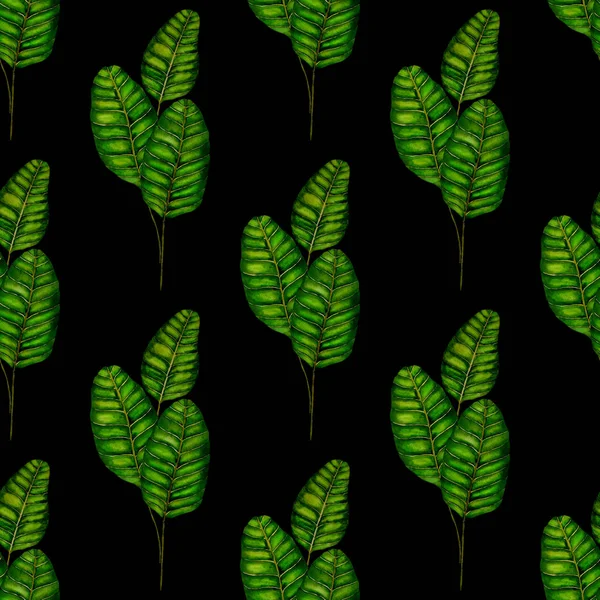 Moderni Abstrakti Saumaton Kuvio Akvarelli Trooppisia Lehtiä Kukkia Tekstiilien Suunnitteluun — kuvapankkivalokuva