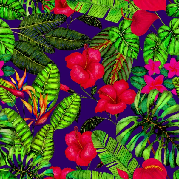 Tekstil tasarımı için suluboya tropikal yaprakları ve çiçekleri olan modern, soyut, dikişsiz desen. Geçmişe dönük parlak yaz geçmişi. Orman yaprakları çizimi. Mayo botanik tasarımı. Antika egzotik baskı.