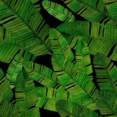 Tekstil tasarımı için suluboya tropikal yaprakları ve çiçekleri olan modern, soyut, dikişsiz desen. Geçmişe dönük parlak yaz geçmişi. Orman yaprakları çizimi. Mayo botanik tasarımı. Antika egzotik baskı.
